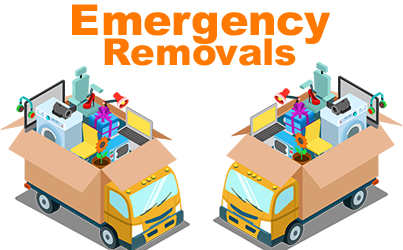 Emergency Removals